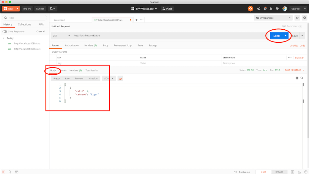 Postman Output